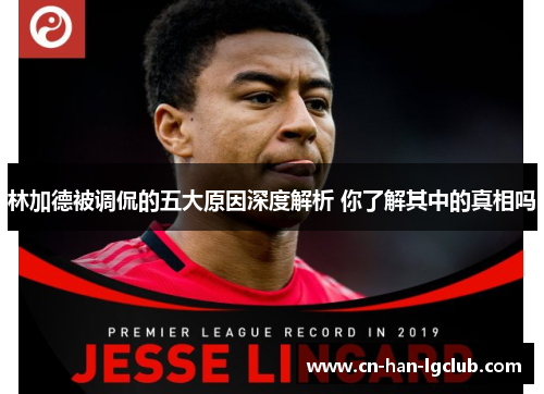 林加德被调侃的五大原因深度解析 你了解其中的真相吗